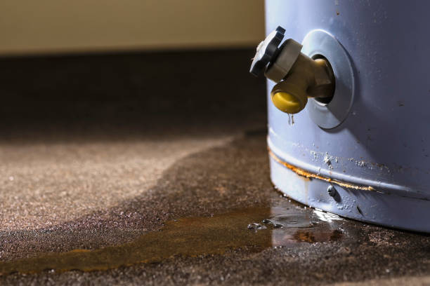 Best 24-hour water damage restoration  in Seat Pleasant, MD