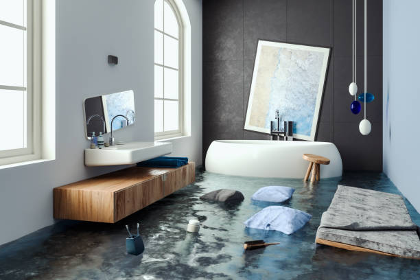 Water damage restoration mold remediation in Seat Pleasant, MD