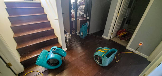 Best Sewage cleanup and water damage restoration  in Seat Pleasant, MD