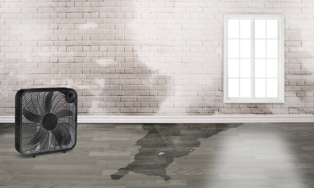 Best Emergency water damage restoration  in Seat Pleasant, MD