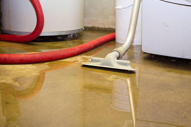 Best Water damage contractors near me  in Seat Pleasant, MD