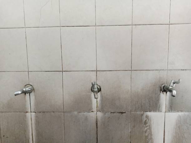 Best Water damage restoration experts  in Seat Pleasant, MD