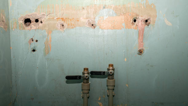 Best Ceiling water damage repair  in Seat Pleasant, MD