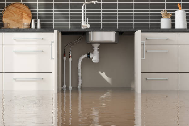 Seat Pleasant, MD Water damage restoration Company