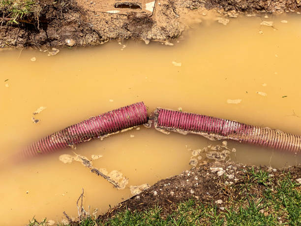 Best Carpet water damage restoration  in Seat Pleasant, MD