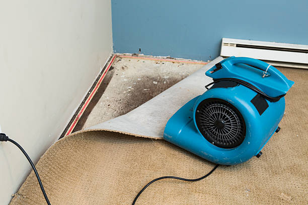 Best Fire Damage Restoration  in Seat Pleasant, MD