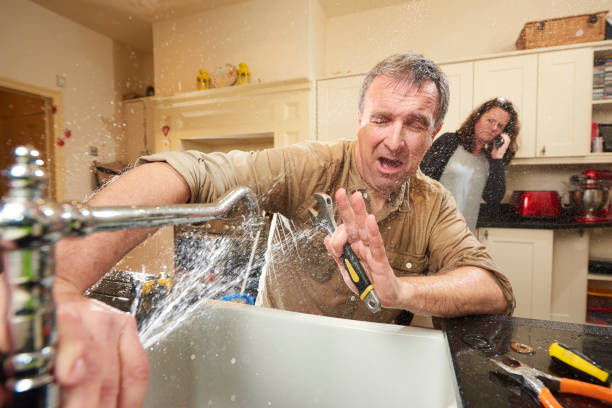 Best Mold removal after water damage  in Seat Pleasant, MD